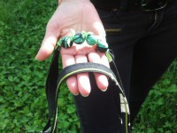 /album/mes-petites-et-grandes-idees-creatives-/gedc0045-jpg/